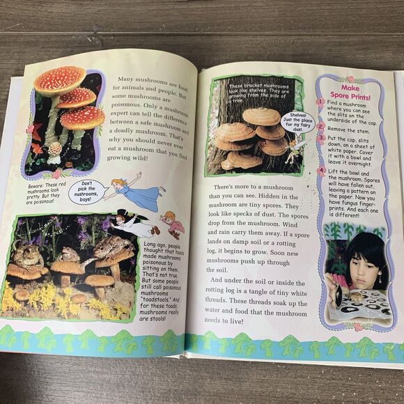 Disney's Year Book 2004, Wonderful World of Reading, Vintage Book 2004, Hardback - Picture 7 of 10